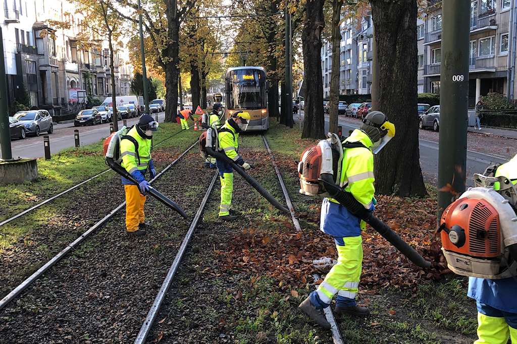 Dode bladeren: een gevaar voor onze trams!