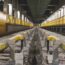 Spoorlopers Brusselse metro zorgen voor uren tijdverlies [INFOGRAFIEK]
