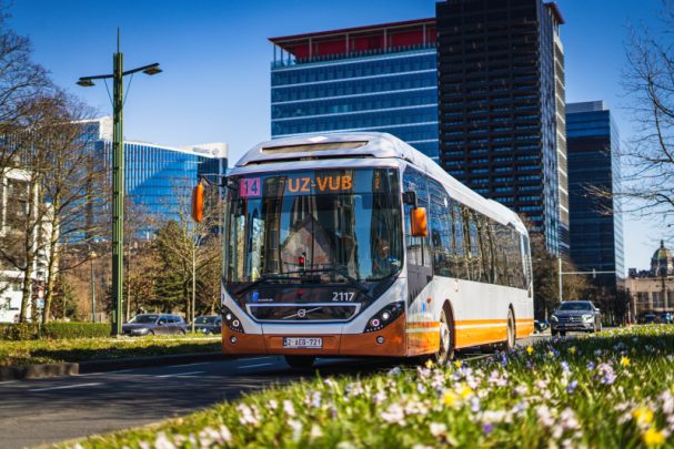 que faire bruxelles stib